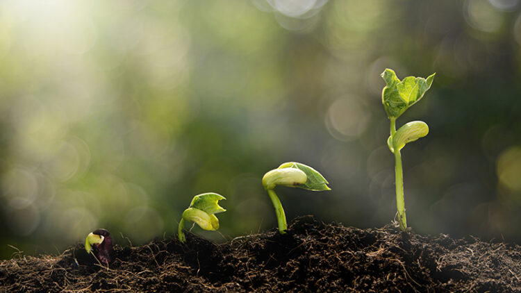 iStock-517044090-800